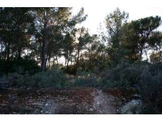 Large Plot In A Luxurious Area, Next To..