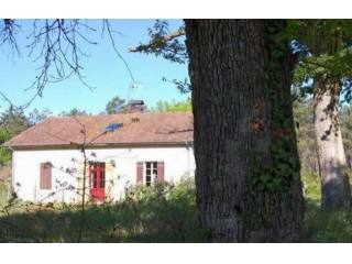Nice Country House with Outbuilding