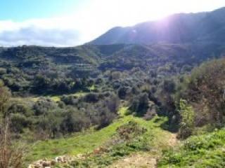 Crete Land For Sale In Tranquil Setting