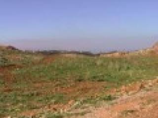 A Large Plot In Armeni - Rethymno
