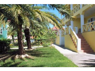Palm Tree Apartment $215,000