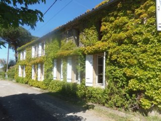 Ivy Covered Detached Country House