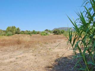 Rustic land with building license in..