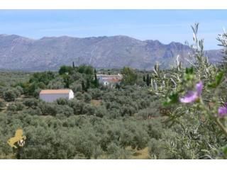 Finca con cuadra y piscina Antequera en..