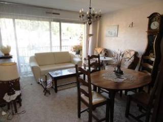 Sarlat, Beautiful Apartment With Pretty..