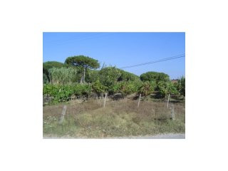 Land, Leiria › Maceira