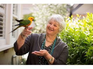 Home Care Services Wingecarribee Area -..