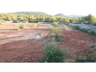 Šibenik, Vodice, građ. zemljište 15988 m2, maslinik, vl..
