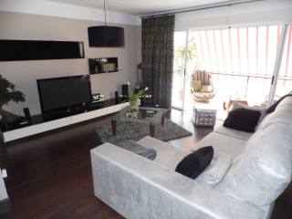 Stylish and modern penthouse in nice..