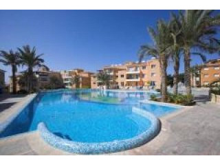 2 Bedroom Swimming Pool Complex..