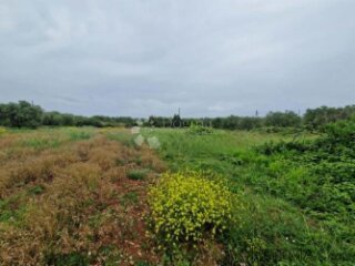 BIOGRAD/TURANJ - GRAĐEVINSKO ZEMLJIŠTE 630 M2