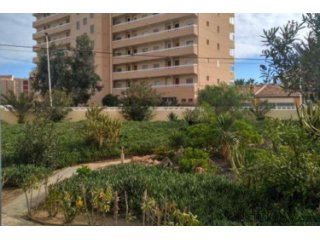 Los apartamentos se ubican en un complejo residencial en..
