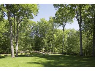 Land For Sale: Greenwich, Connecticut