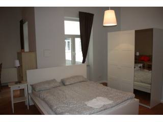 Freshly Renovated Altbau Apartments in..