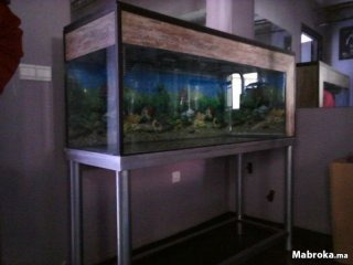 Aquarium 150x50x60ht