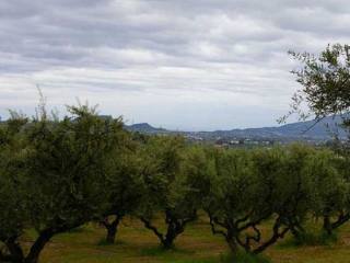 Land - Zakynthos - For Sale