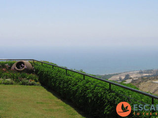 Luxury Apartment In Theseus Village
