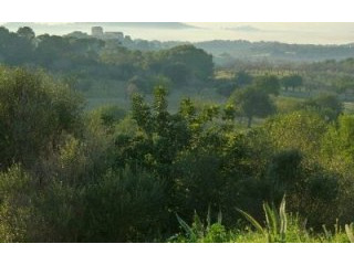 imperial properties santta ponsa - Plot..
