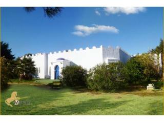 Country Equestrian Horse Property Conil..
