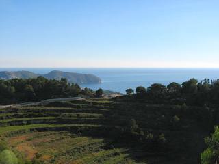 Land - For Sale