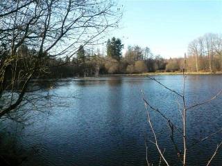 Lake In The Haute-Vienne Set On Almost..