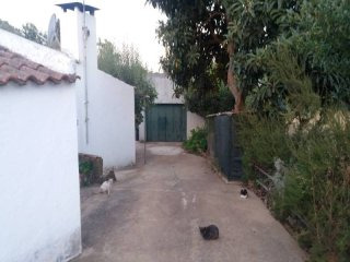 2 Bedrooms Farm For Sale - Setubal