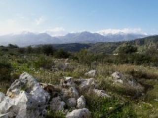 Crete Land For Sale