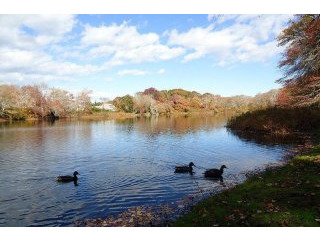 Land For Sale: 45 Lake Avenue, Hyannis..