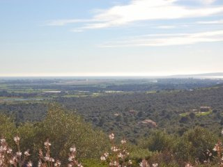 Plot With Views Until The Bay Of Palma..