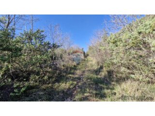 Istra, Rakalj- poljoprivredno zemljište 5523 m2
