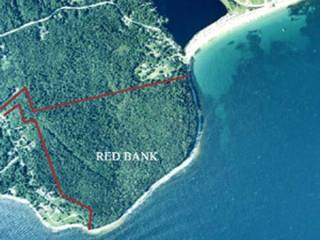 Land For Sale: 76 Conrad's Branch Road..