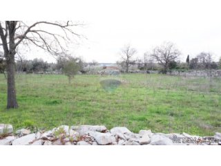 Istra, Peroj atraktivno građevinsko zemljište,650m od mora