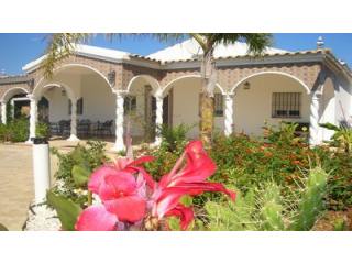 Finca Farm - Andaluz style country..