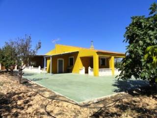 Country Finca Pinoso
