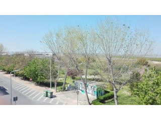 2 Bedrooms - Apartment - Alicante - For..