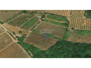 TAR-poljoprivredno zemljište 6311 m2