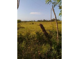 Oceanview Development Land Between..