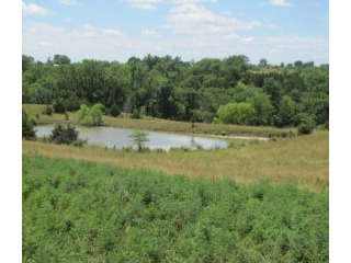 SOLD: 123 +/- Acres Grass Farm For Sale..