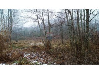 Karlovac,Skakavac-poljoprivredno zemljište 8 232 m2