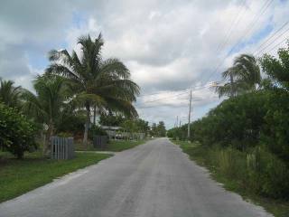 Singlefamilyvacant - Level building lot..