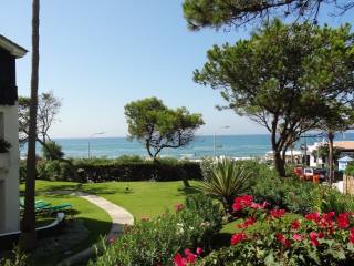 Central Elviria Spacious Beachfront..