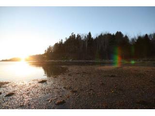 Land For Sale: 125 Mason's Point Road..