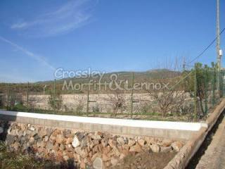 Land property for sale in Tijoco..