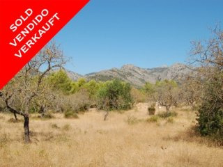 *sold* Magnificent Plot With Lovely..