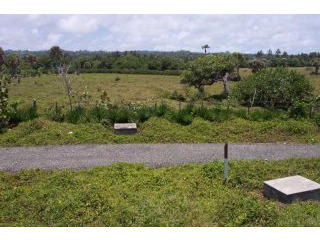 Various Oceanfront Lots In Cabrera For..