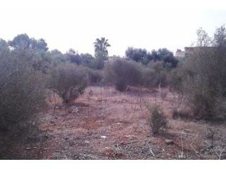 Nice plot in Cala Santanyi