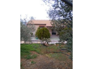 Bungalow*