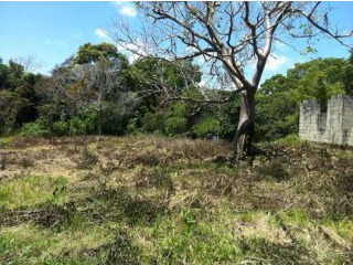 Hacienda Style Lot Between Sosua And..