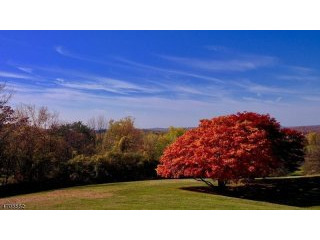 Land For Sale: 44 Prentice Lane
