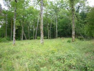 Condat sur Trincou (24530)